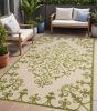 4' X 6' Green Damask Indoor Outdoor Area Rug