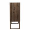 Mod Natural and Gold Reclaimed Wood Accent Cabinet