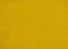 Modern Contemporary Living Room 1pc Sofa Yellow Velvet Upholstery Dark Brown Legs Solid Wood Furniture