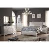 ACME Voeville II Mirror in Platinum 24844